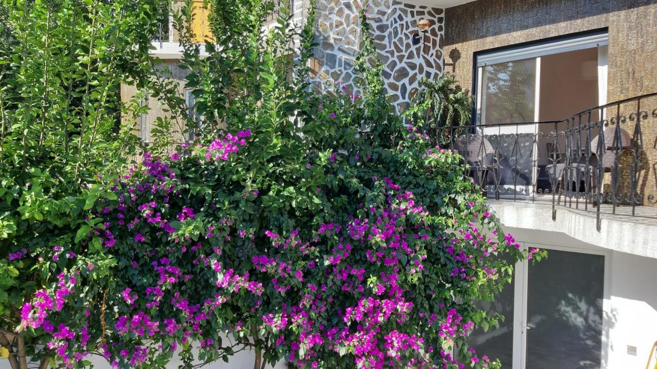 Colina Guesthouse - 브라가 외부 사진